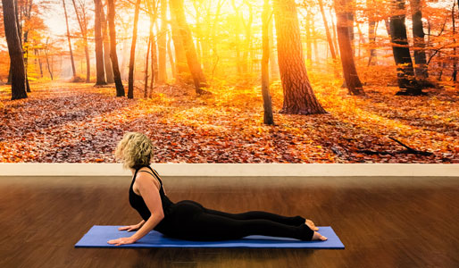 Image of woman doing cobra yoga move