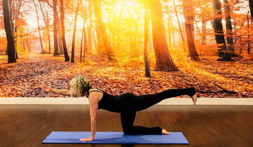 Image of woman doing extended plank move