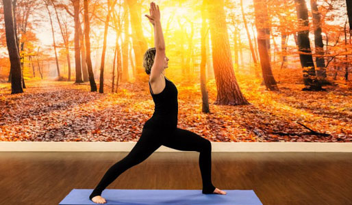 Image of woman lunging in warrior yoga pose